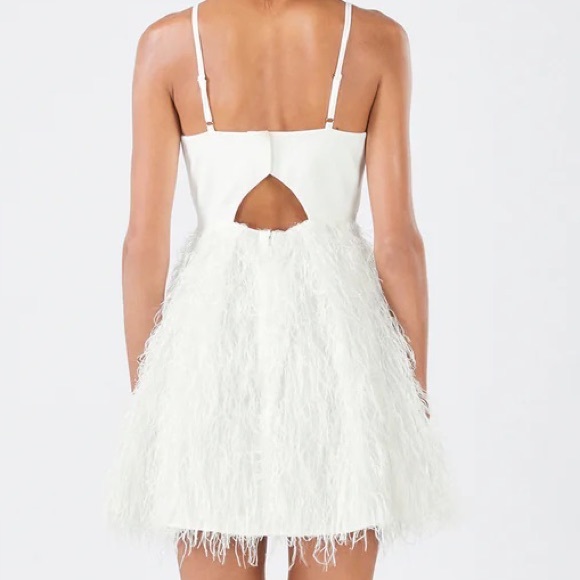 BCBGMaxazria Ilara Feather Mini Dress - Worn Once! - Picture 2 of 4